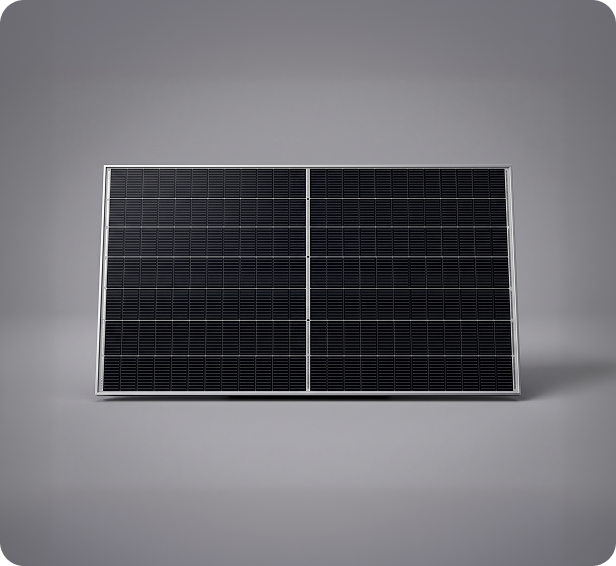 Panel solar TSM-DEG21C.20 (Vertex S+)